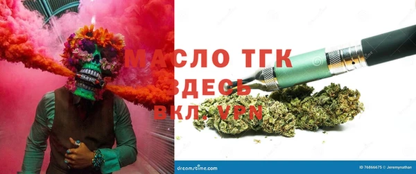 индика Володарск