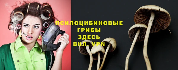 мефедрон Богородицк
