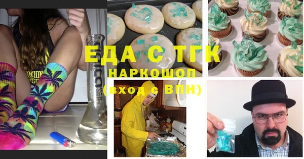 индика Володарск