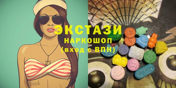 индика Володарск