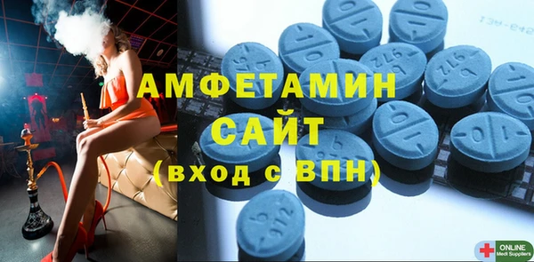 индика Володарск