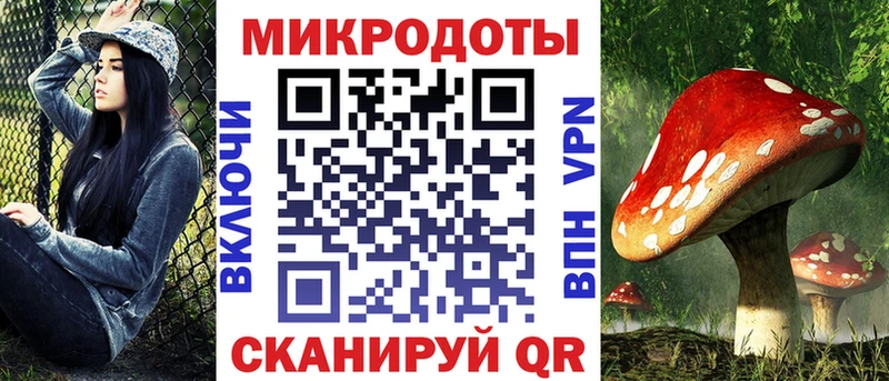 Псилоцибиновые грибы GOLDEN TEACHER  Дубовка 